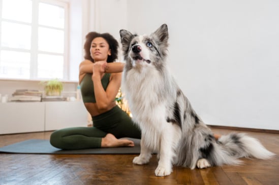 puppy yoga