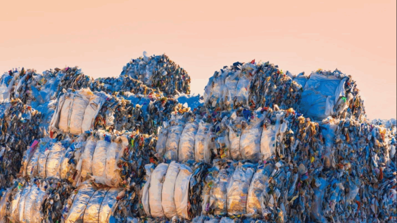 Relatório da Getty Images revela relação entre consumidores e sustentabilidade