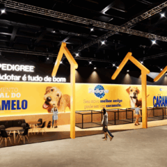 pedigree SRD, ativação pedigree CBKC, Exposição de Aniversário da Confederação Brasileira de Cinofilia